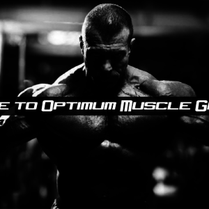 A Guide to Optimum Muscle Growth