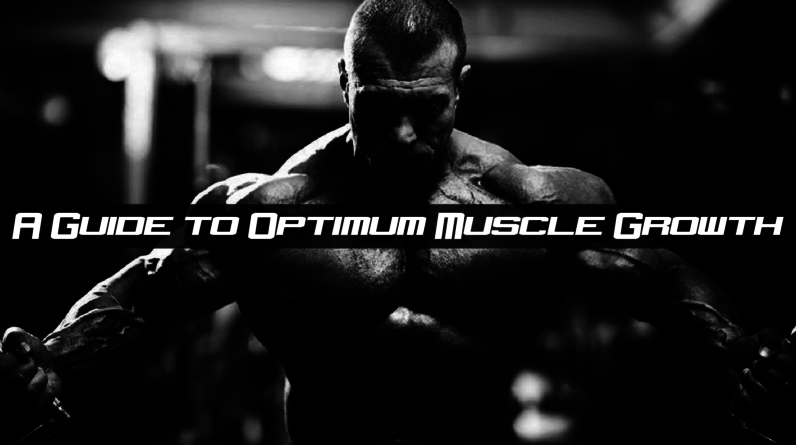 A Guide to Optimum Muscle Growth