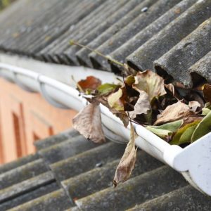 roof maintenance